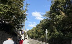 活動報告：ゴミ拾いをしました