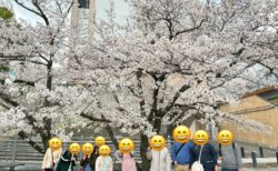 活動報告:お花見に行きました